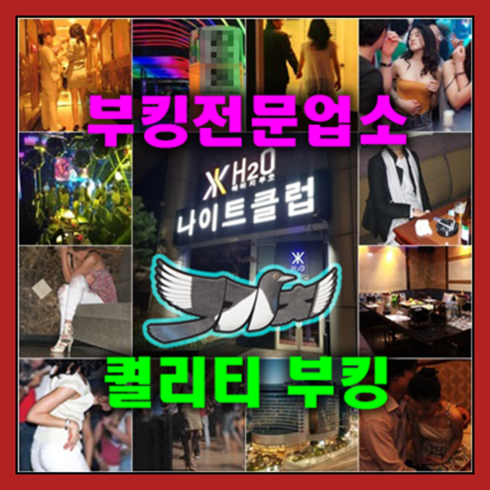 성남국빈관나이트7